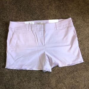 Loft Shorts